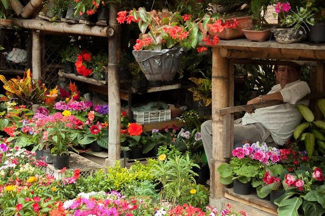 coffee-paradise-at-el-paraiso-experience-from-bogota