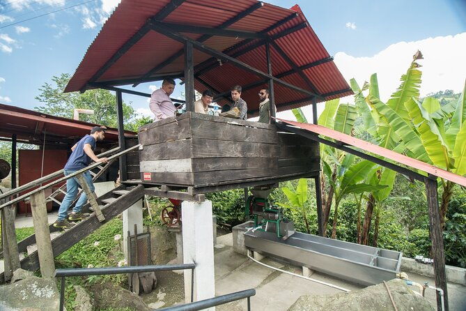 coffee-paradise-at-el-paraiso-experience-from-bogota