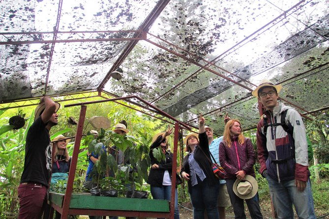 coffee-plantation-tour-from-bogota