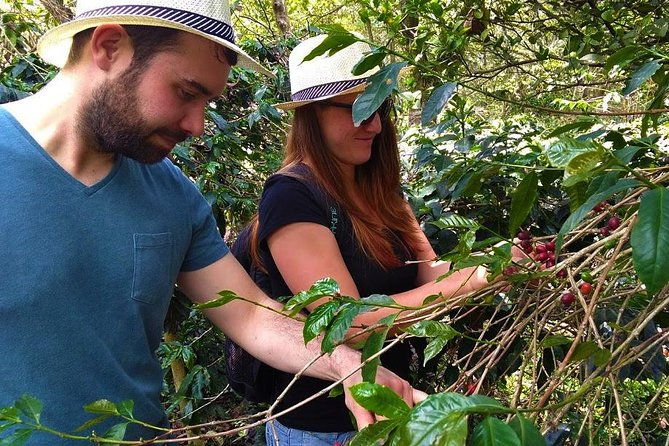 coffee-plantation-tour-from-bogota