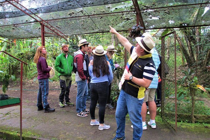 coffee-plantation-tour-from-bogota