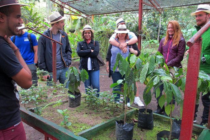 coffee-plantation-tour-from-bogota