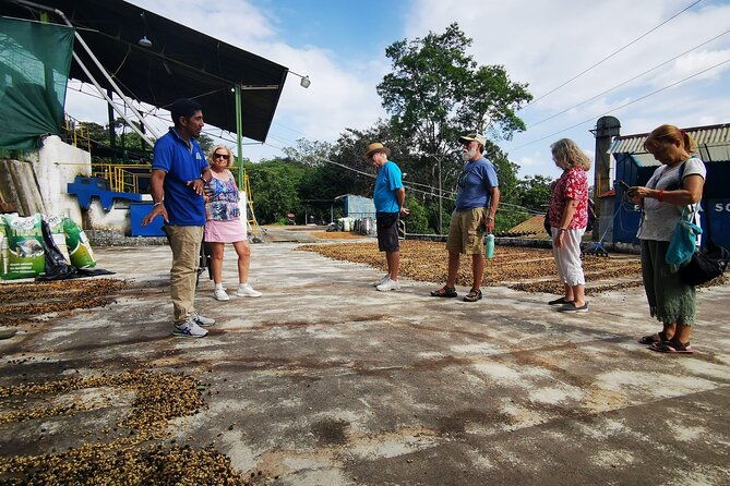 coffee-plantation-visit-and-tasting-activity-in-costa-rica