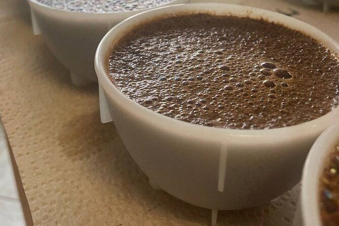 coffee-sensory-training-in-ljubljana