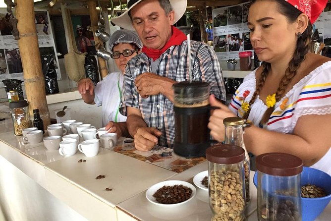 coffee-tour-2