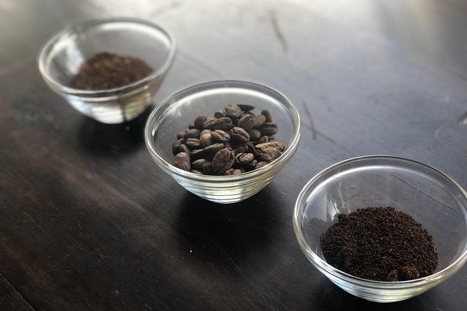 coffee-tour-a-coffee-between-mountains-medellin