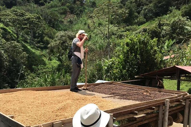 coffee-tour-all-inclusive-medellin