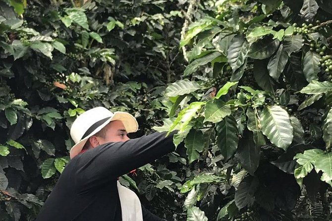 coffee-tour-all-inclusive-medellin