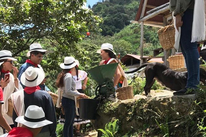 coffee-tour-all-inclusive-medellin
