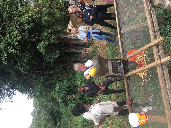 Coffee tour and Buffet Lunch with Kingstone Asilia (Arusha) - Detailed Breakdown of the Experience