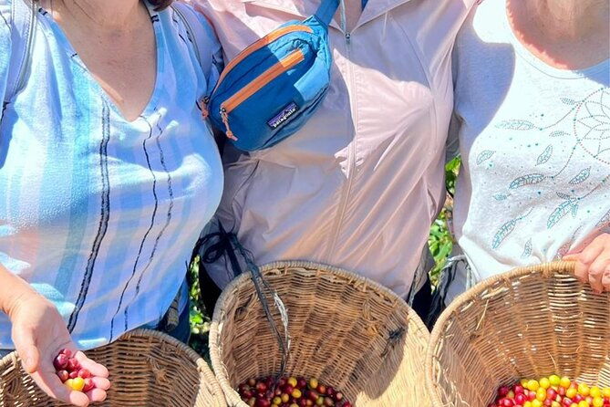 coffee-tour-and-jeep-tour-at-finca-mariposa-in-jardin