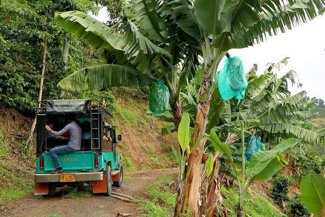 coffee-tour-daytrip-at-finca-la-manchuria-exclusive-experience
