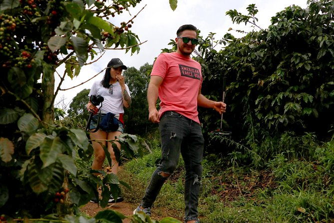 coffee-tour-daytrip-at-finca-la-manchuria-exclusive-experience