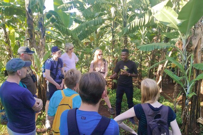 Coffee Tour Experience - Who Will Love This Tour?