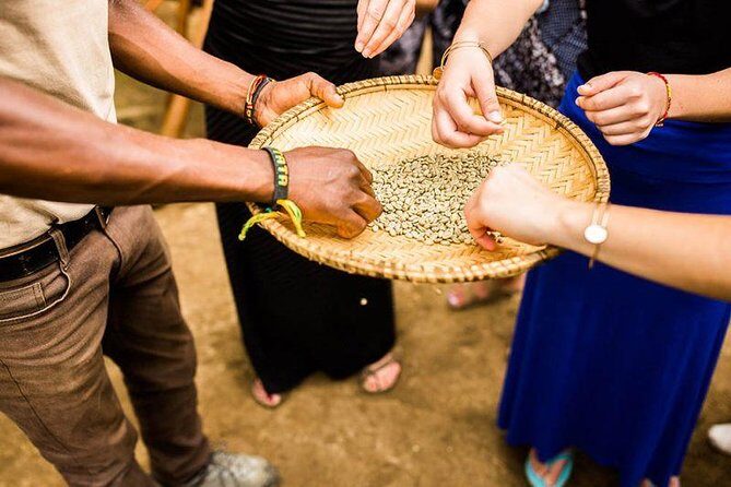 Coffee Tour Experience from Arusha - Key Points