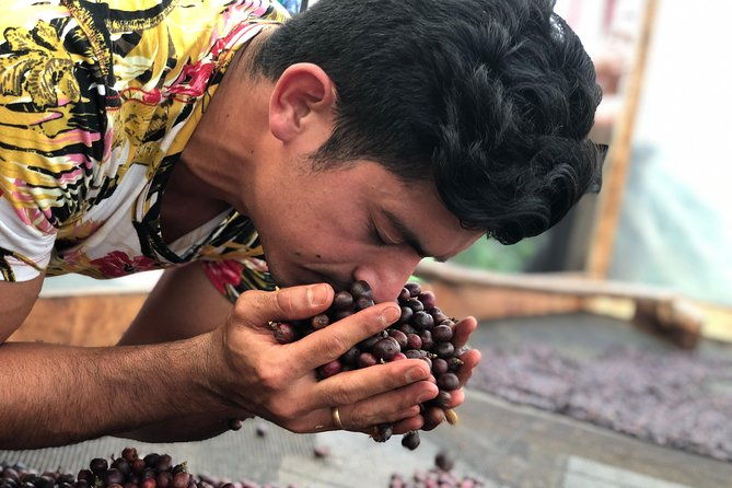 coffee-tour-finca-jaguar