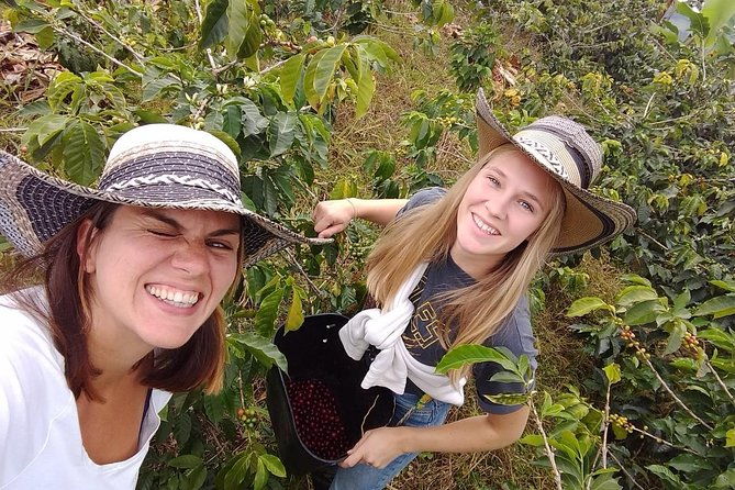 coffee-tour-finca-jaguar