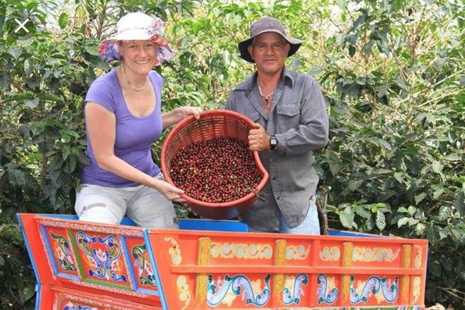 coffee-tour-grecia-and-sarchi-oxcarts-private-tour