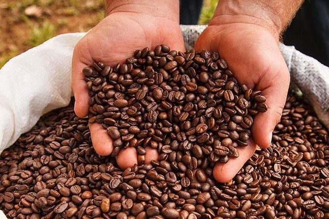 coffee-tour-grecia-and-sarchi-oxcarts-private-tour