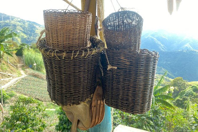 coffee-tour-in-medellin-with-tastings-and-transportation