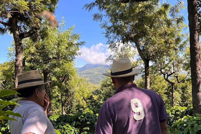 coffee-tour-in-sacatepequez-with-tasting