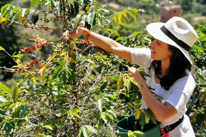 coffee-tour-in-the-beautiful-jardin-town-adventure-in-the-andes