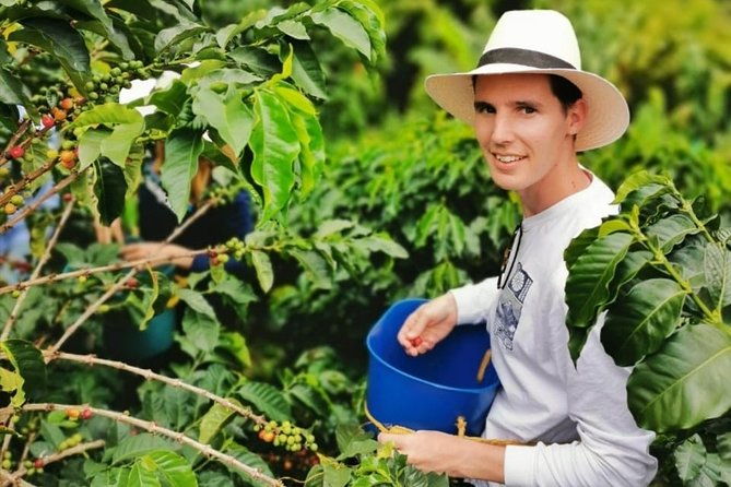 coffee-tour-in-the-beautiful-jardin-town-adventure-in-the-andes