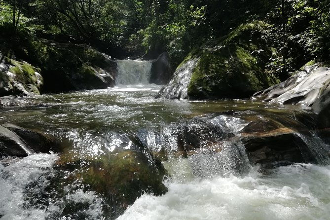 coffee-tour-la-victoria-and-waterfalls-in-minca-private-tour