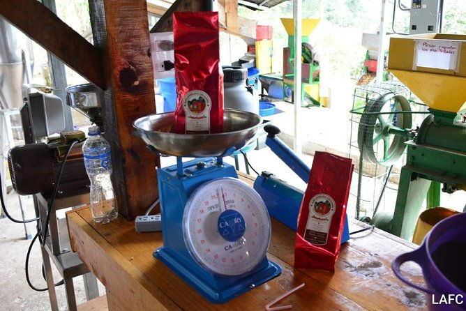 coffee-tour-los-sauces