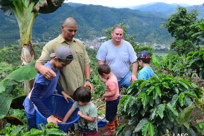 coffee-tour-los-sauces