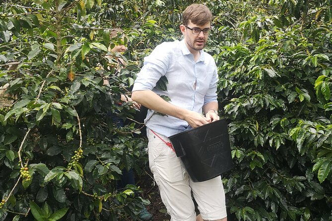 coffee-tour-medellin-2