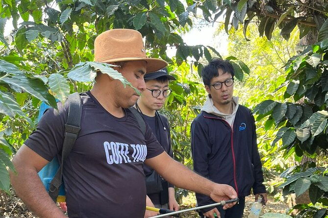 coffee-tour-near-the-agua-volcano-with-tasting