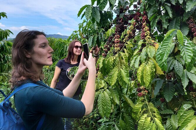 Coffee - Wine - Tea: Dalat Treasures tour - Key Points