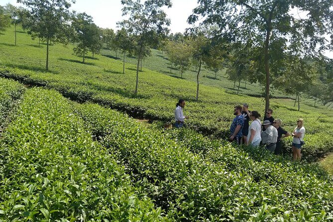 Coffee - Wine - Tea: Dalat Treasures tour - FAQs