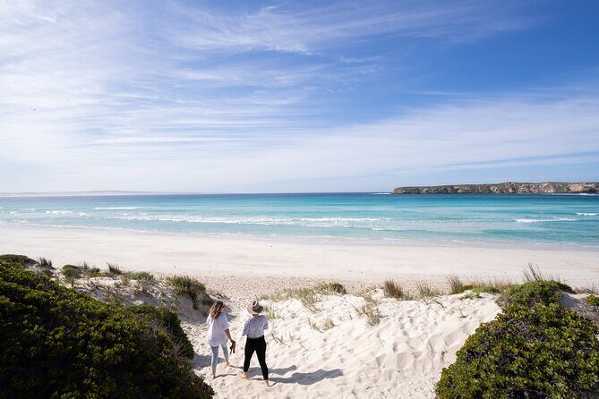 Coffin Bay Day Tour - A Taste of Coffin Bay - What Makes This Tour Stand Out