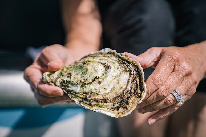 Coffin Bay Day Tour - A Taste of Coffin Bay - Who Will Love This Tour?