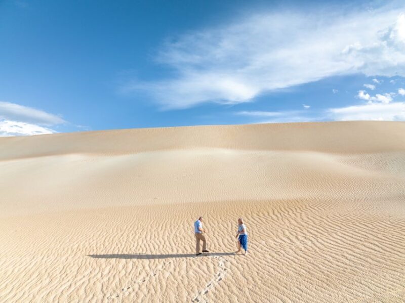 Coffin Bay National Park: Highlights and Off-Road 4WD Tour - Why This Tour Is a Solid Choice