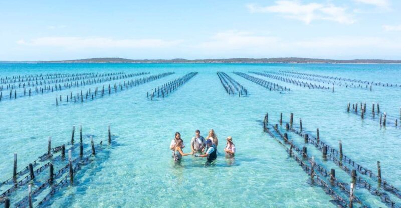 Coffin Bay: Oyster Farm Boat Tour with Wading & 12 Oysters - An Intro to the Coffin Bay Oyster Farm Boat Tour