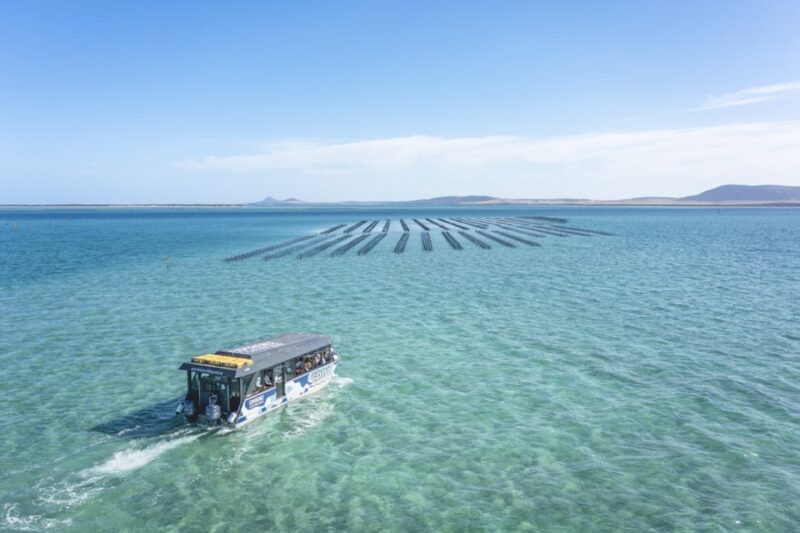 Coffin Bay: Oyster Farm Boat Tour with Wading & 12 Oysters - Practical Details