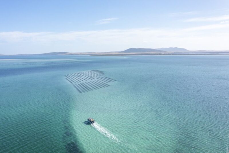 Coffin Bay: Oyster Farm Boat Tour with Wading & 12 Oysters - Authenticity and Reviewer Insights