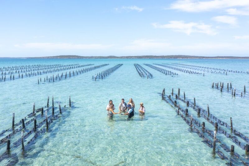 Coffin Bay: Oyster Farm Boat Tour with Wading & 12 Oysters - Final Thoughts