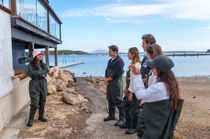 Coffin Bay Oyster Farm Wading Tour & Tasting Experience - Authentic Reviews and Insights