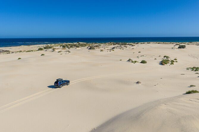 Coffin Bay Tour with Oyster Shucking and Off Road Adventure - Off-Road 4WD Adventure