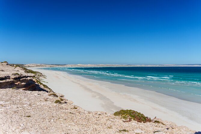 Coffin Bay Tour with Oyster Shucking and Off Road Adventure - Who Will Love This Tour?