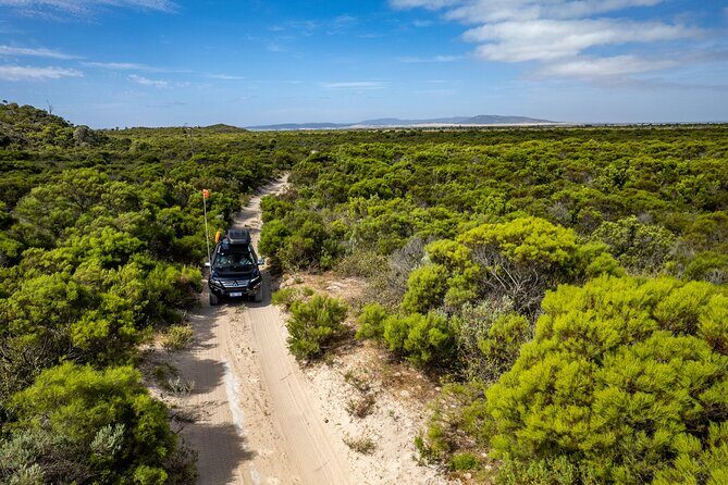 Coffin Bay Tour with Oyster Shucking and Off Road Adventure - Final Thoughts