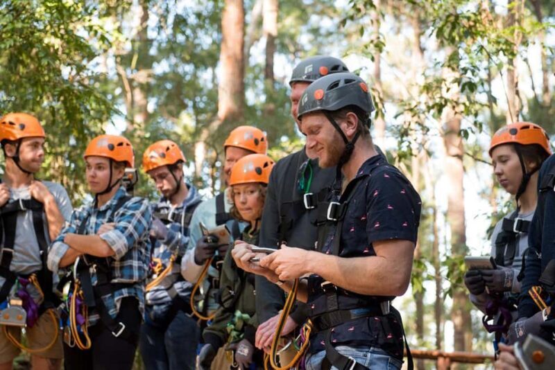 Coffs Harbour: Treetops Adventure Tree Ropes Course - Final Thoughts: Is It Worth It?