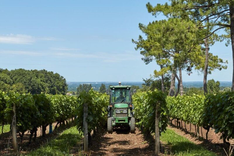 cognac-3-hour-private-painting-with-artist-jeanne-maze