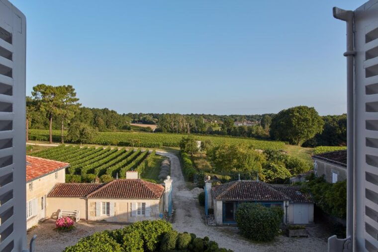 cognac-3-hour-private-painting-with-artist-jeanne-maze