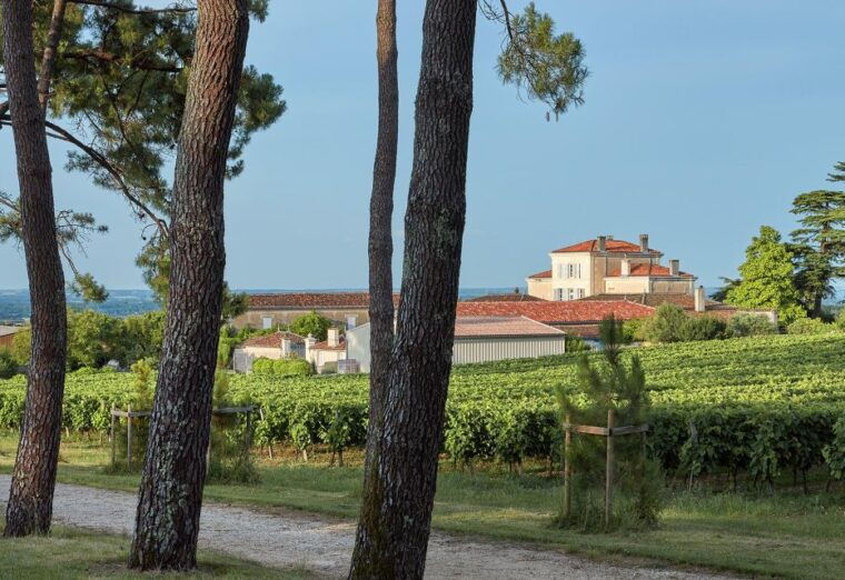 cognac-3-hour-private-painting-with-artist-jeanne-maze