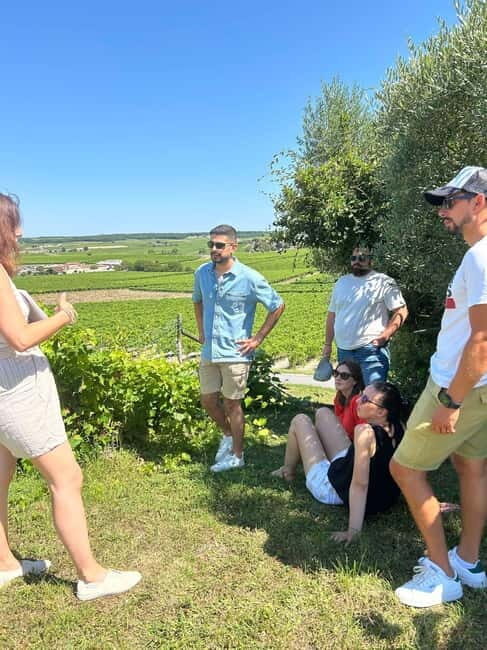 Cognac: Discover the vineyards in a 4x4 and enjoy a cocktail - Key Points